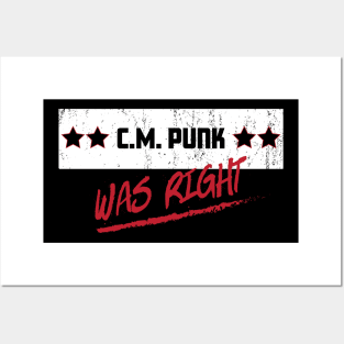 Punk was right Posters and Art